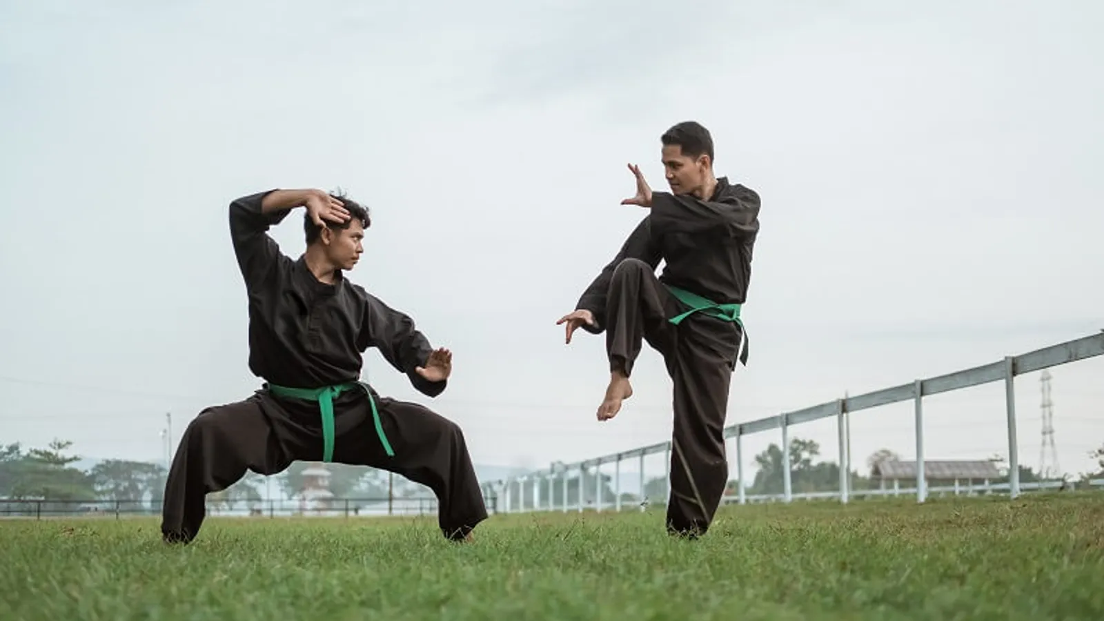 Pendalaman Pencak Silat: Makna, Sejarah, dan Filosofi Bela Diri Nusantara
