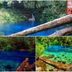 Danau Kaco Kerinci: Pesona Surga Biru di Tengah Hutan Lindung Jambi