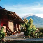 Penginapan Flamboyan di Kerinci – Akomodasi Ideal untuk Liburan & Bisnis di Sungai Penuh