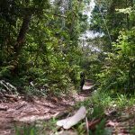 Bentuk Jalan ke Danau Kaco: Panduan Lengkap Trekking dan Perlengkapan Terbaik